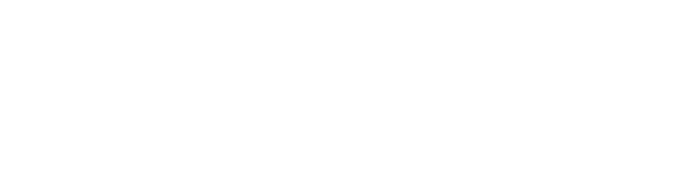 American Lifetime